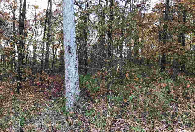 1 COUNTRYWOODS DR, Selmer, Tennessee 38375, ,Land,For Sale,COUNTRYWOODS,10221850