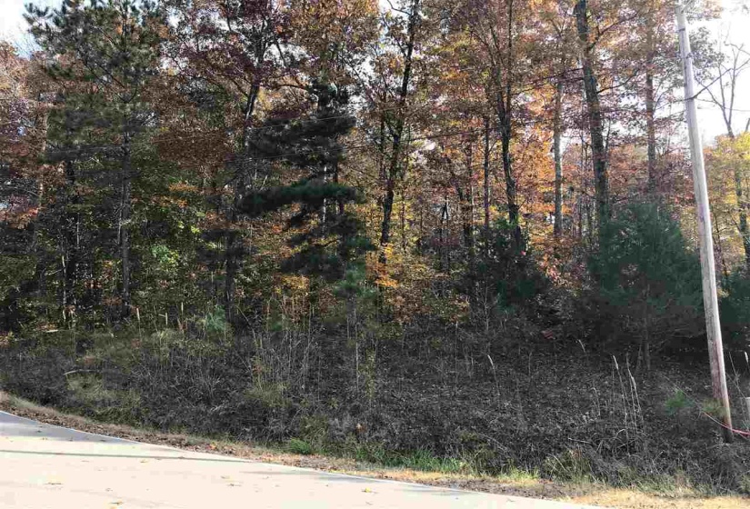 12 COUNTRY WOODS DR, Selmer, Tennessee 38375, ,Land,For Sale,COUNTRY WOODS,10221853