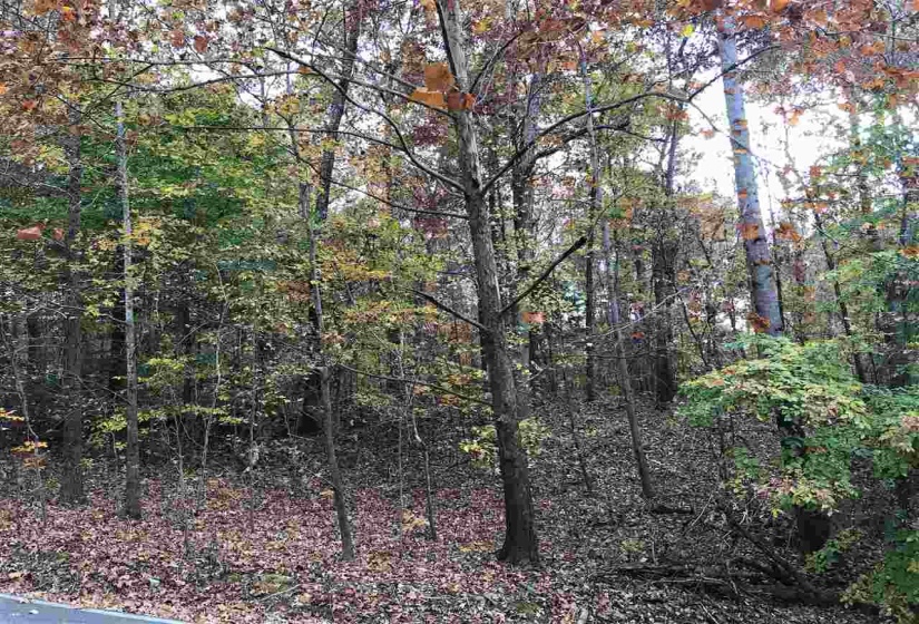 12 COUNTRY WOODS DR, Selmer, Tennessee 38375, ,Land,For Sale,COUNTRY WOODS,10221853