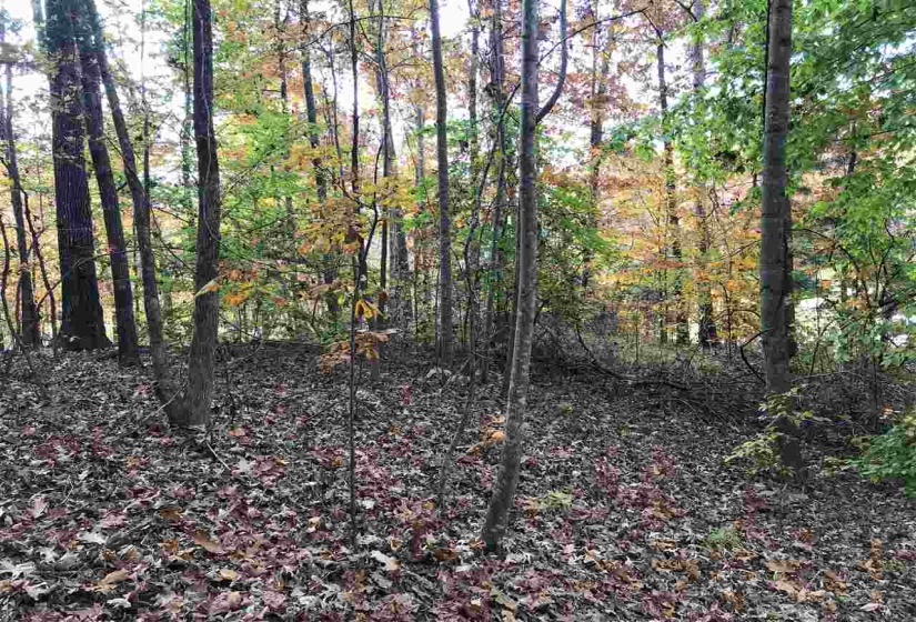 12 COUNTRY WOODS DR, Selmer, Tennessee 38375, ,Land,For Sale,COUNTRY WOODS,10221853