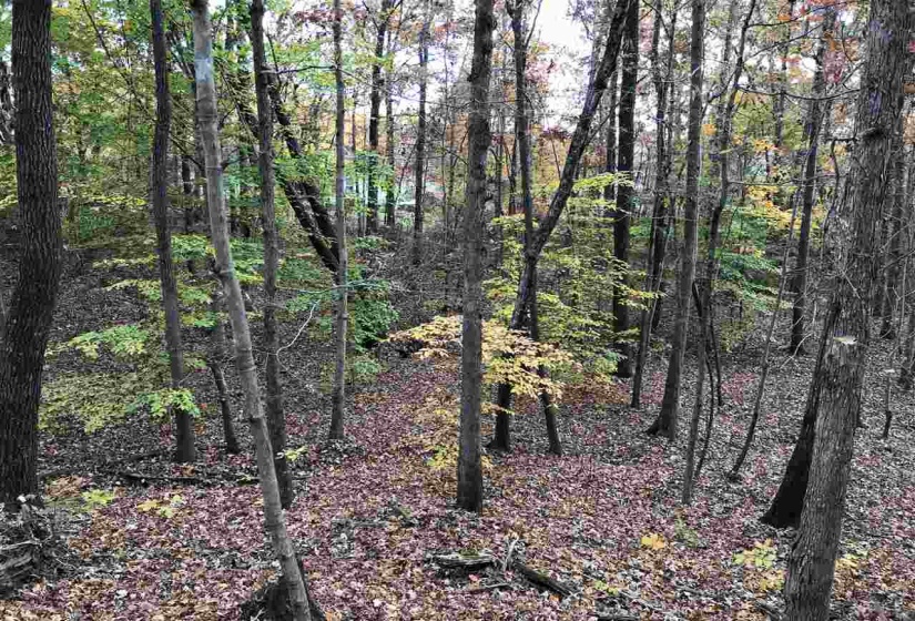 20 COUNTRY WOODS DR, Selmer, Tennessee 38375, ,Land,For Sale,COUNTRY WOODS,10221854