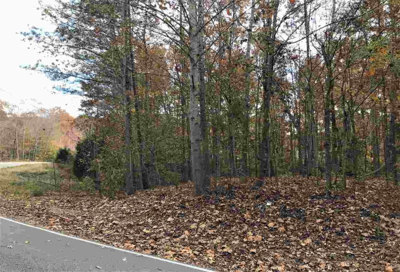 20 COUNTRY WOODS DR, Selmer, Tennessee 38375, ,Land,For Sale,COUNTRY WOODS,10221854