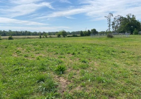 JOE DILLON RD, Michie, Tennessee 38357, ,Land,For Sale,JOE DILLON,10221871 JOE DILLON RD, Michie, Tennessee 38357, ,Land,For Sale,JOE DILLON,10221871