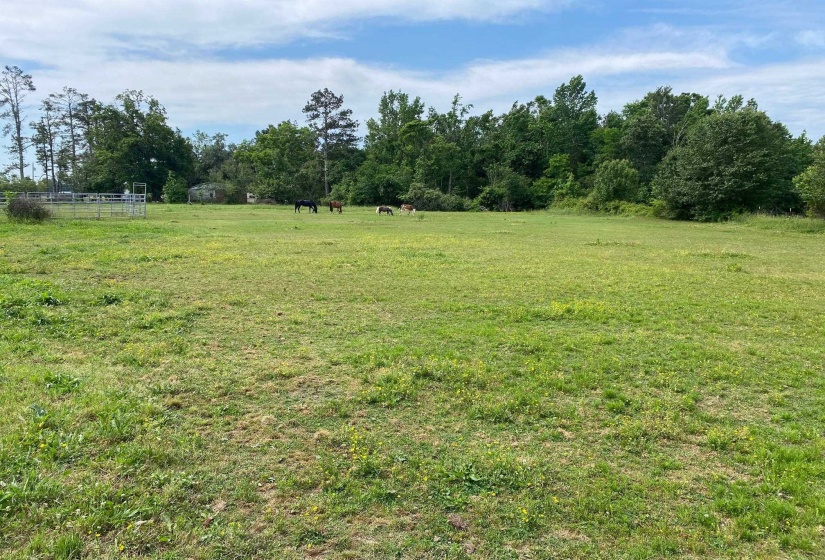 JOE DILLON RD, Michie, Tennessee 38357, ,Land,For Sale,JOE DILLON,10221871