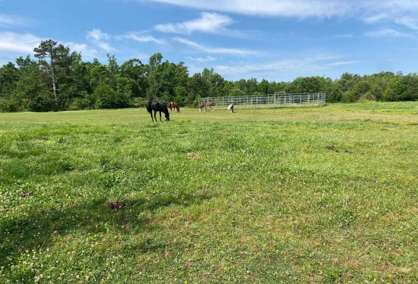 JOE DILLON RD, Michie, Tennessee 38357, ,Land,For Sale,JOE DILLON,10221871