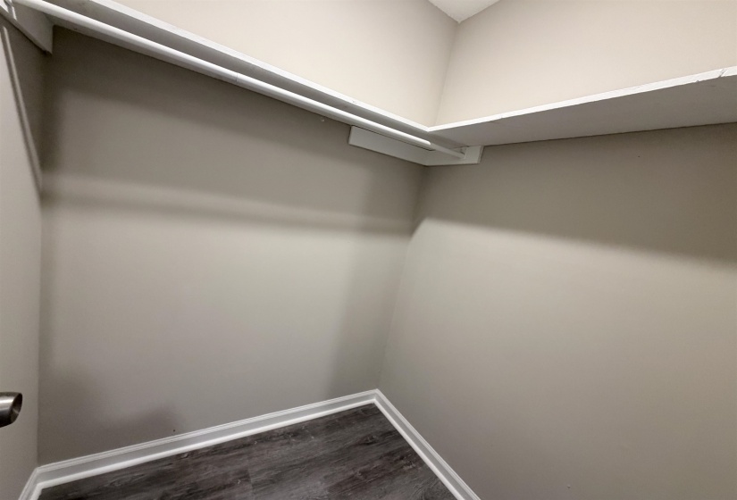 Walk-in closet with integrated shelving, hanging rods, light gray wall paint, and wood-finish flooring