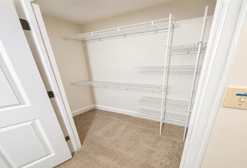 Closet with neutral-toned carpeting, white wire shelving, and a white paneled door
