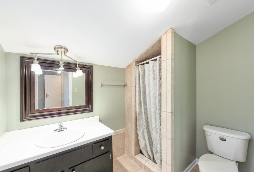 Full bathroom featuring lofted ceiling, vanity, a tile shower, and toilet
