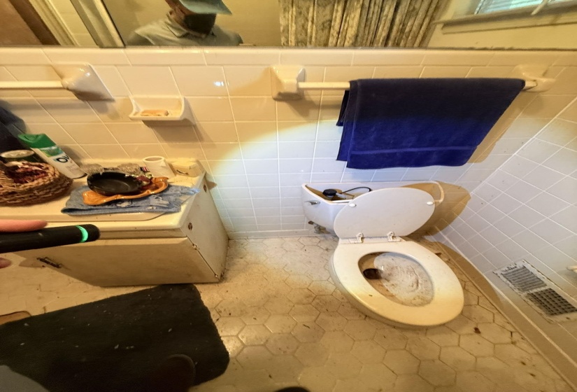 Image quality insufficient for description