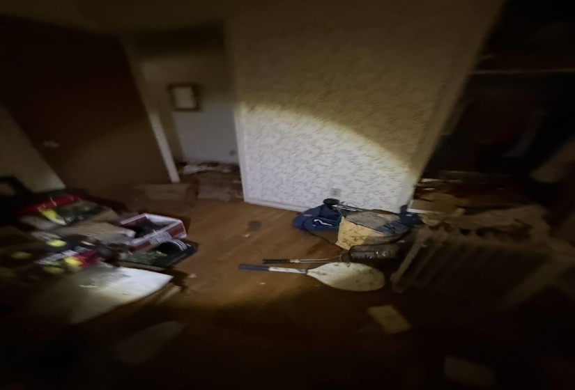 Image quality insufficient for description
