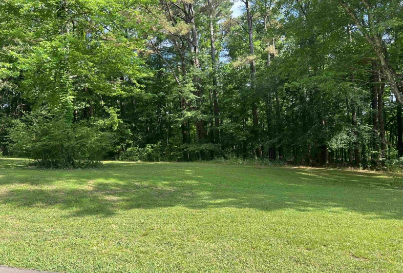 11614 WYNESTONE OAKS CV, Eads, Tennessee 38028, ,Land,For Sale,WYNESTONE OAKS,10221924