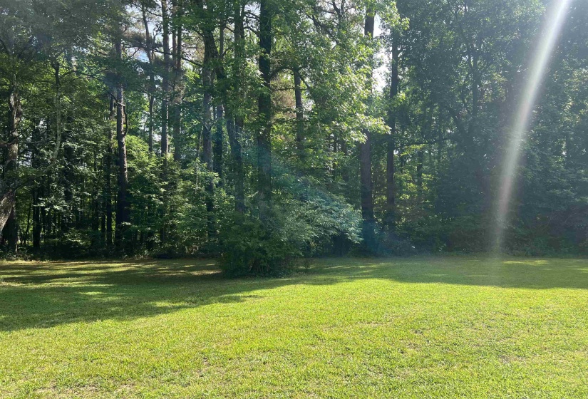 11614 WYNESTONE OAKS CV, Eads, Tennessee 38028, ,Land,For Sale,WYNESTONE OAKS,10221924