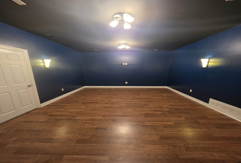 Spacious room featuring wood-finish flooring, dark blue walls, and a contrasting dark ceiling