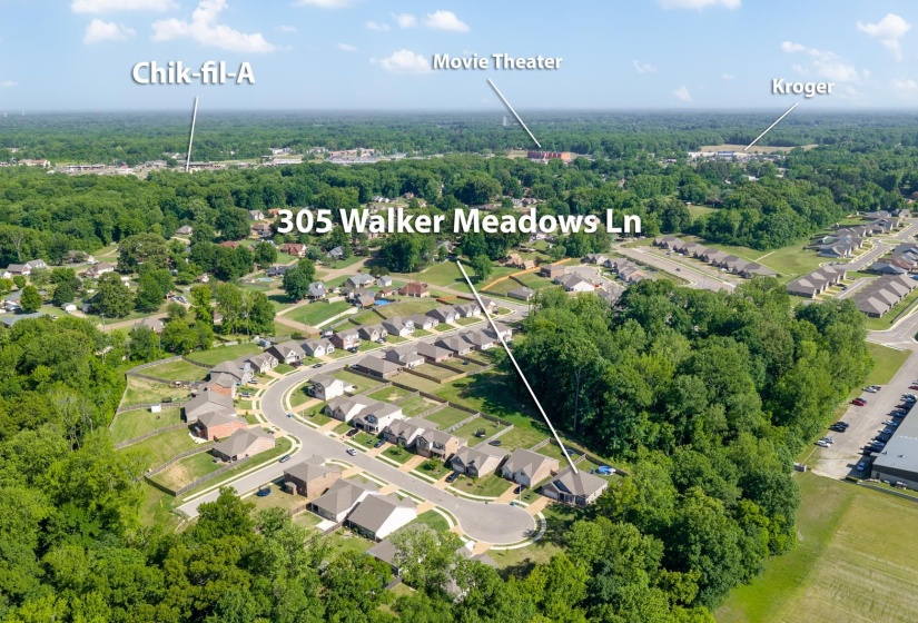 Aerial overview of the neighborhood, highlighting the property at 305 Walker Meadows Lane within a residential development