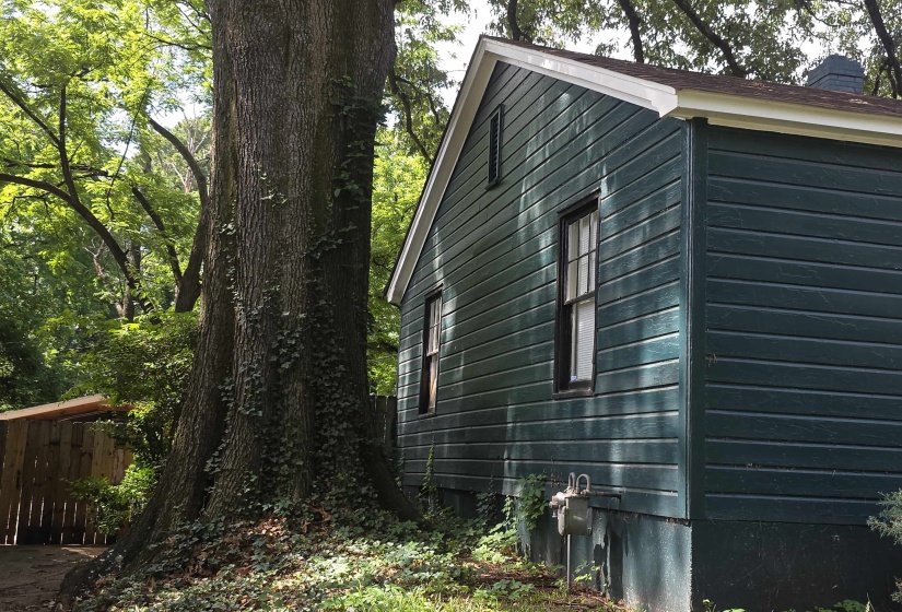 Exterior featuring dark green horizontal siding and a dark shingle roof