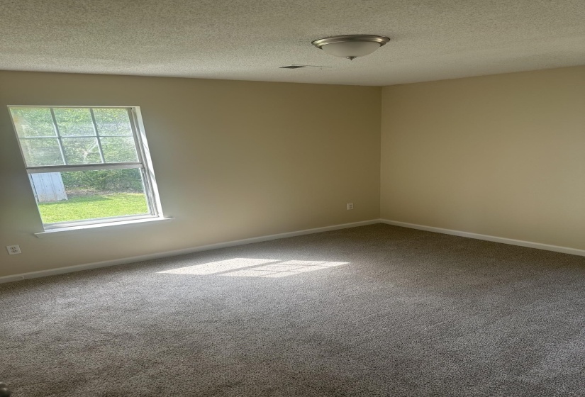 Carpeted room with neutral paint, a single window, and a flush-mount ceiling light fixture