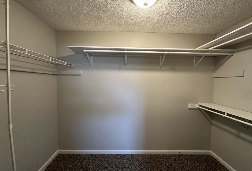 Walk in closet featuring carpet flooring