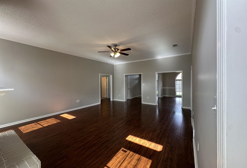 Spare room with ceiling fan, a textured ceiling, wood finished floors, and ornamental molding