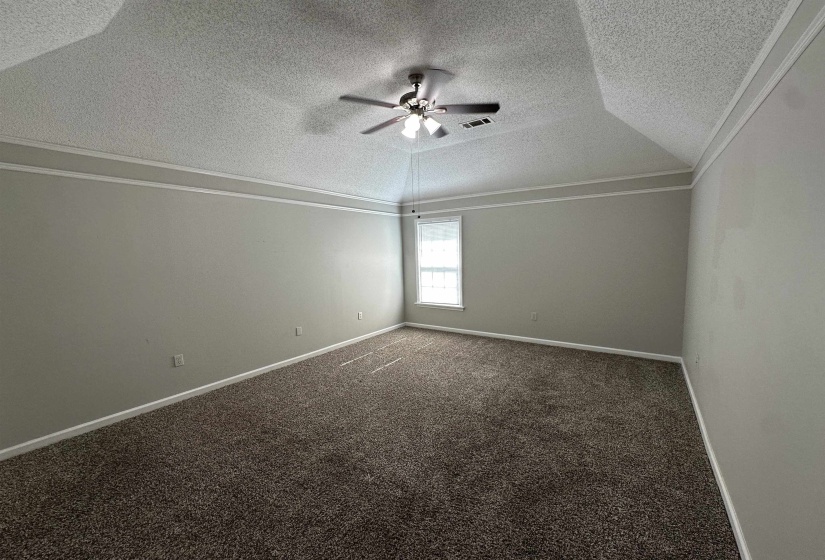 Spare room featuring ceiling fan, ornamental molding, carpet floors, and a textured ceiling