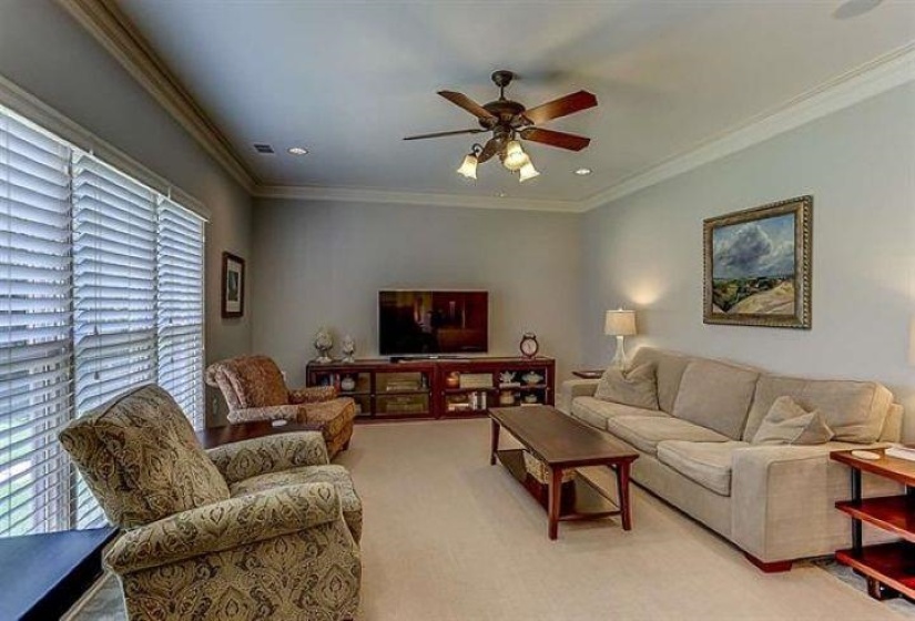 Living area featuring light carpet, ceiling fan, crown molding, and a wealth of natural light