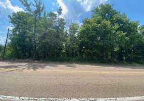 HWY 18 HWY, Medon, Tennessee 38356, ,Land,For Sale,HWY 18,10221994