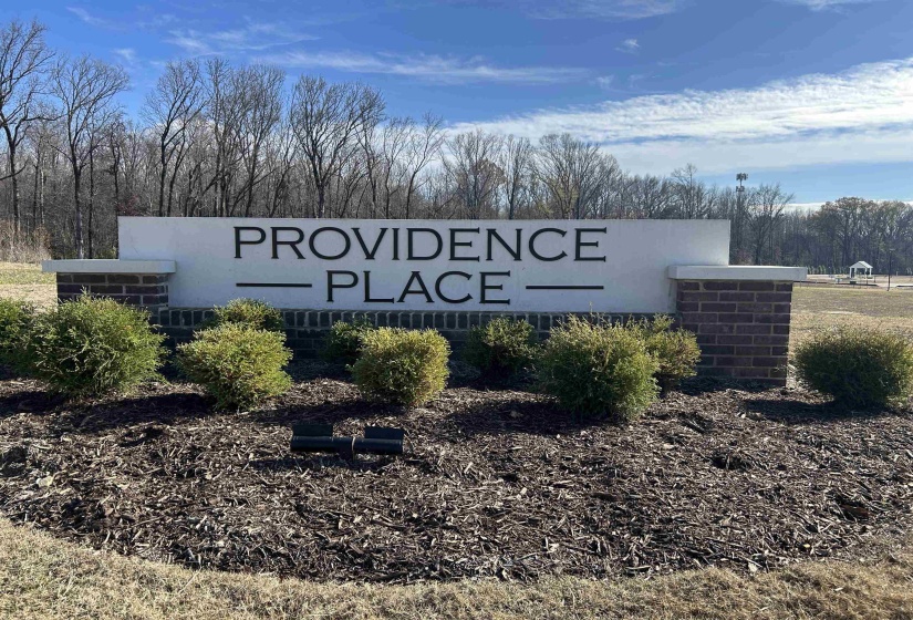 12129 PROVIDENCE CENTER LOOP, Arlington, Tennessee 38002, 4 Bedrooms Bedrooms, 10 Rooms Rooms,3.1 BathroomsBathrooms,Residential,For Sale,PROVIDENCE CENTER,10211021