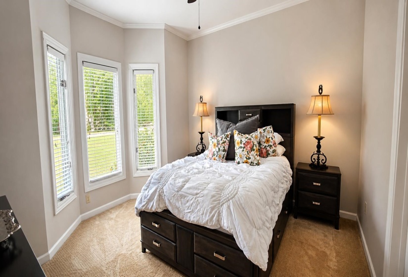 9951 HOUSTON LEVEE CV, Collierville, Tennessee 38139, 5 Bedroom Bedrooms, 13 Room Rooms,4 BathroomBathrooms,Residential,For Sale,HOUSTON LEVEE,0,10221986