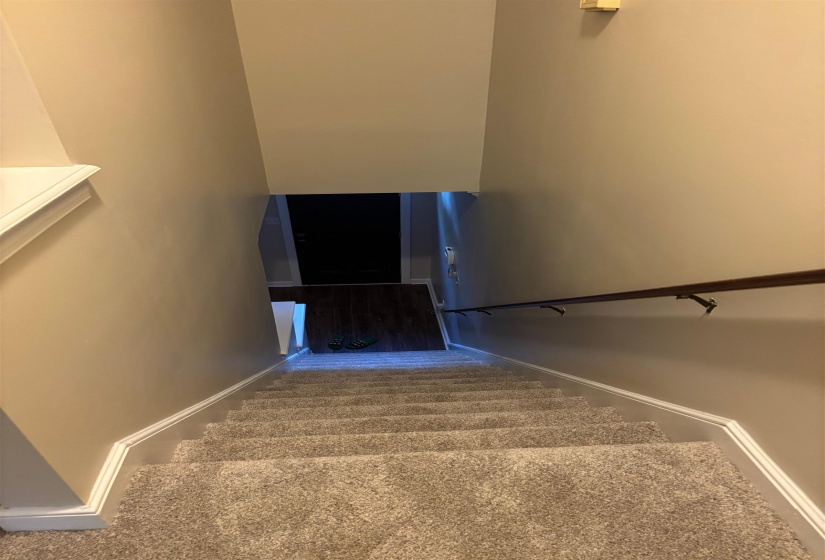 Carpeted staircase with light beige walls, white trim, a dark wood-finish handrail, and wood-finish flooring at the base