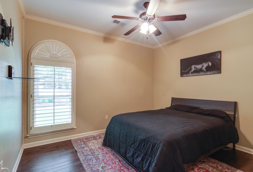Room featuring wood-finish flooring, a ceiling fan with light, and crown molding
