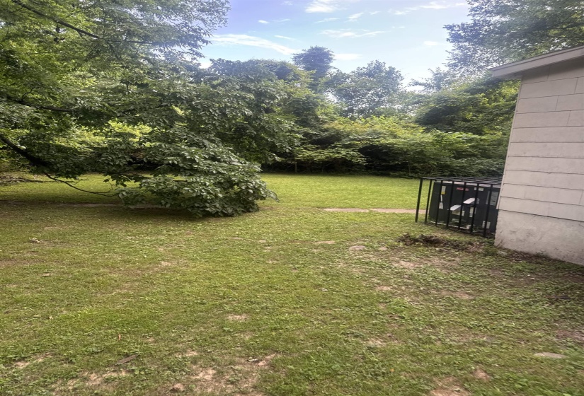 Expansive lawn area with mature tree coverage providing natural shade