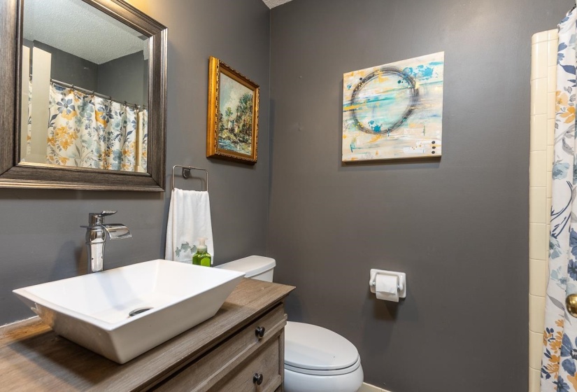 Bathroom featuring vanity and a shower with shower curtain