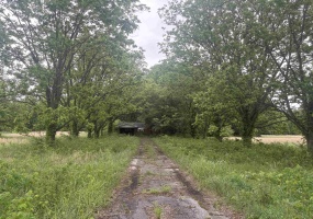 3948 HWY 59 HWY, Covington, Tennessee 38019, 3 Bedrooms Bedrooms, 7 Rooms Rooms,1 BathroomBathrooms,Residential,For Sale,HWY 59,10222015 3948 HWY 59 HWY, Covington, Tennessee 38019, 3 Bedrooms Bedrooms, 7 Rooms Rooms,1 BathroomBathrooms,Residential,For Sale,HWY 59,10222015