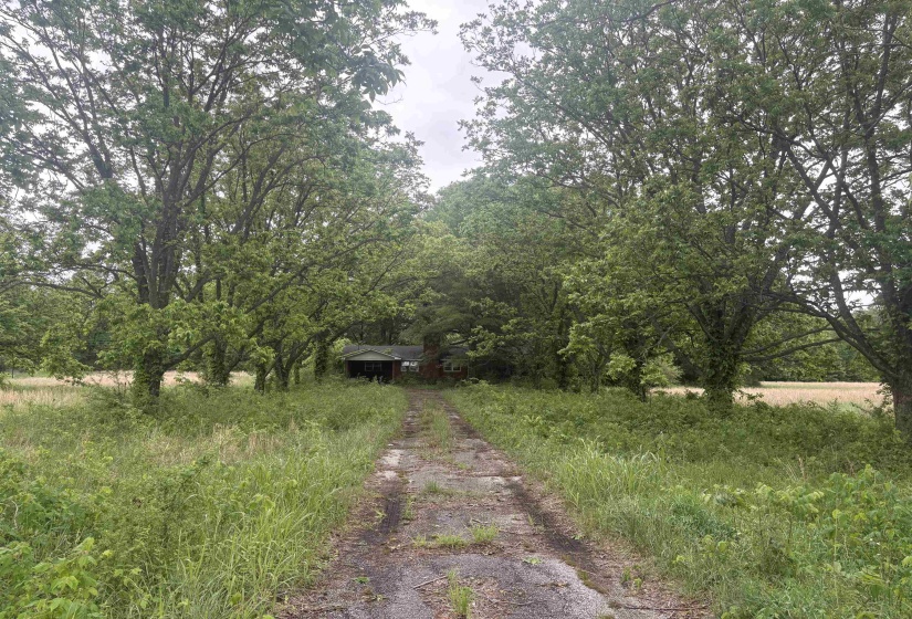 3948 HWY 59 HWY, Covington, Tennessee 38019, 3 Bedrooms Bedrooms, 7 Rooms Rooms,1 BathroomBathrooms,Residential,For Sale,HWY 59,10222015