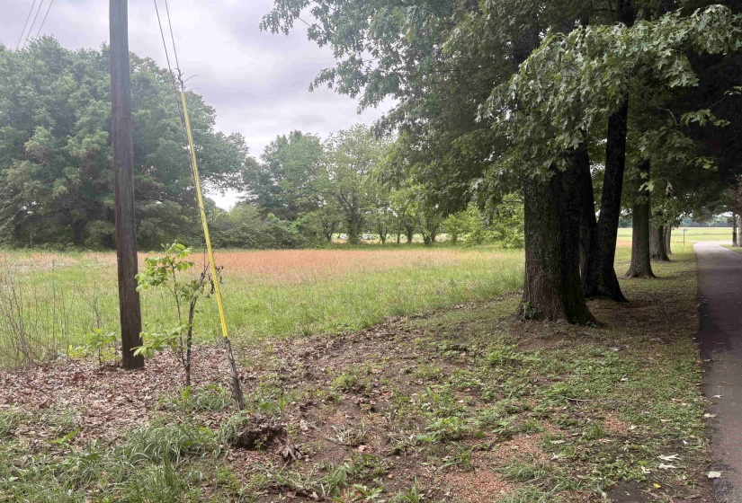 Expansive grassy field bordered by mature trees and a paved pathway