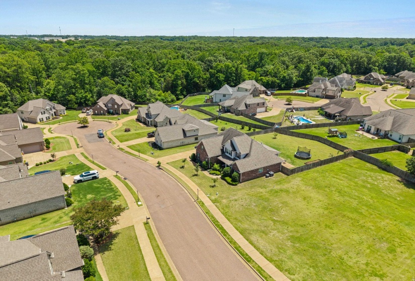 Aerial view of a residential neighborhood with varied architectural styles and mature landscaping