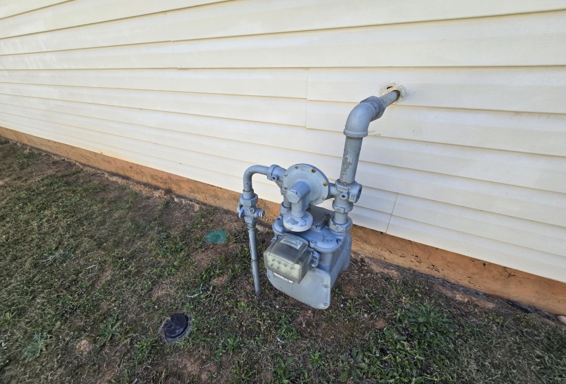 Cream-colored vinyl siding with a visible gas meter and ground-level utility access