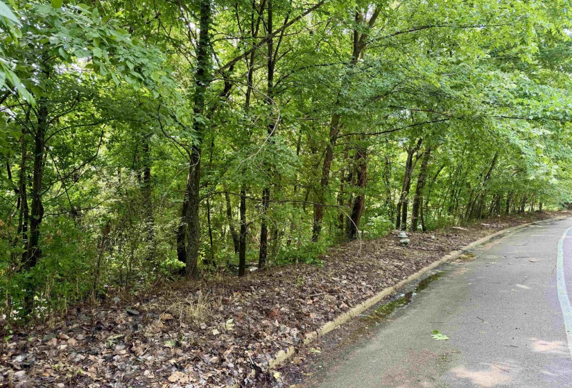 0 NORTHHAVEN DR, Memphis, Tennessee 38127, 0 , 0 ,0,Land,For Sale,NORTHHAVEN,0,10222023