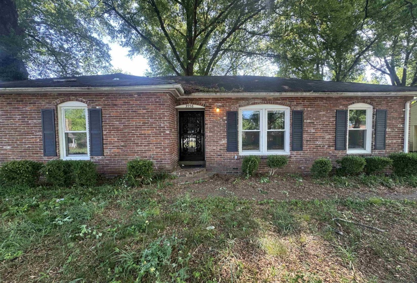 Brick exterior residence featuring a security screen door, arched window details, multiple windows with shutters, and established perimeter shrubbery
