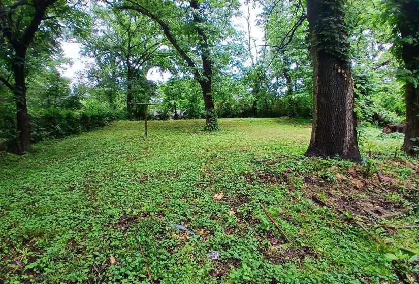 Expansive yard featuring mature trees and a substantial grassy area