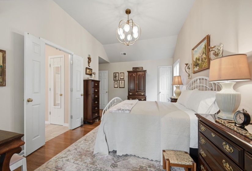 Vaulted ceiling with an ornate ceiling light fixture