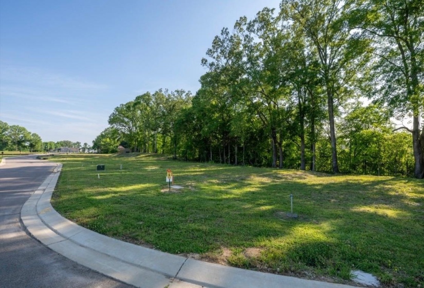 110 CYPRESS BEND CV, Rossville, Tennessee 38066, ,Land,For Sale,CYPRESS BEND,10222092