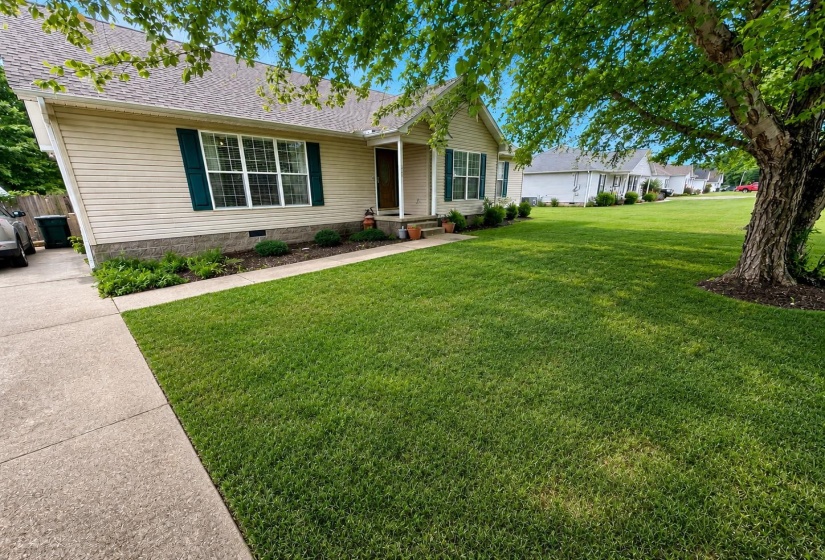 246 COLLINS ST, Ripley, Tennessee 38063-8042, 3 Bedrooms Bedrooms, 7 Rooms Rooms,2 BathroomsBathrooms,Residential,For Sale,COLLINS,10222073