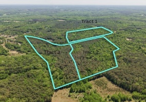 0 ED BARHAM TRACK 3 RD, Bethel Springs, Tennessee 38315, ,Land,For Sale,ED BARHAM TRACK 3,10222140 0 ED BARHAM TRACK 3 RD, Bethel Springs, Tennessee 38315, ,Land,For Sale,ED BARHAM TRACK 3,10222140