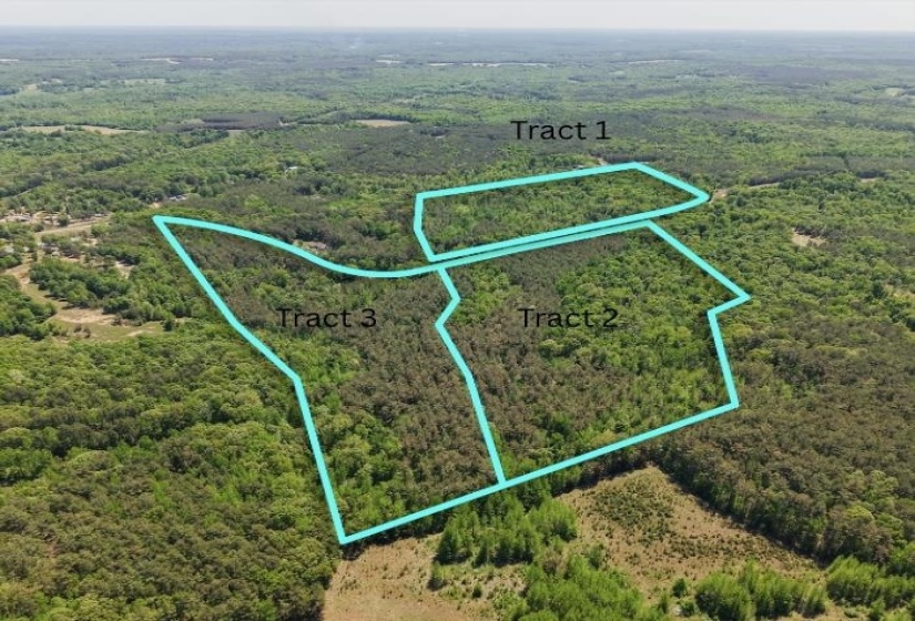 0 ED BARHAM TRACK 3 RD, Bethel Springs, Tennessee 38315, ,Land,For Sale,ED BARHAM TRACK 3,10222140