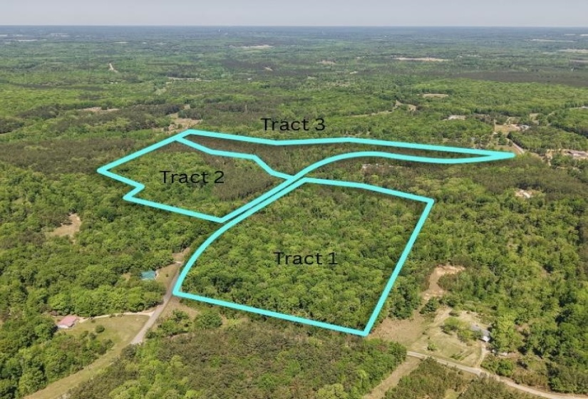 0 ED BARHAM TRACK 3 RD, Bethel Springs, Tennessee 38315, ,Land,For Sale,ED BARHAM TRACK 3,10222140
