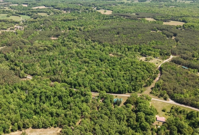 0 ED BARHAM TRACK 3 RD, Bethel Springs, Tennessee 38315, ,Land,For Sale,ED BARHAM TRACK 3,10222140