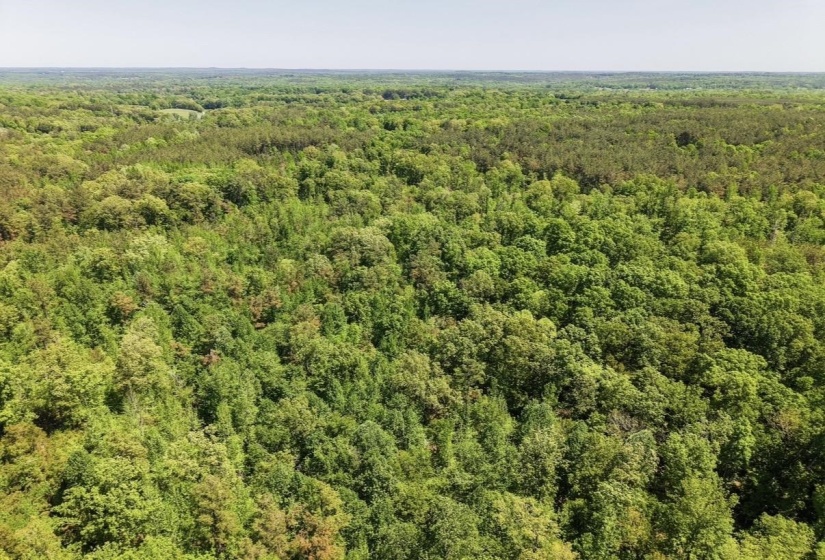 0 ED BARHAM TRACT 2 RD, Bethel Springs, Tennessee 38315, ,Land,For Sale,ED BARHAM TRACT 2,10222144