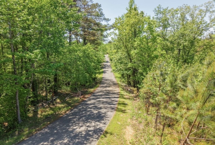 0 ED BARHAM TRACT 2 RD, Bethel Springs, Tennessee 38315, ,Land,For Sale,ED BARHAM TRACT 2,10222144