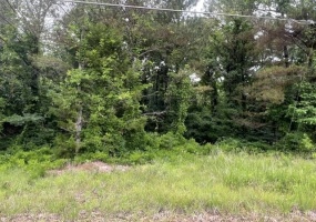 BURNETT MILLS RD, Bolivar, Tennessee 38008, ,Land,For Sale,BURNETT MILLS,10222148
