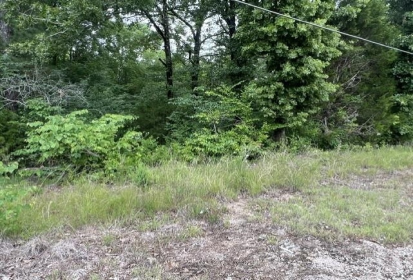 BURNETT MILLS RD, Bolivar, Tennessee 38008, ,Land,For Sale,BURNETT MILLS,10222148
